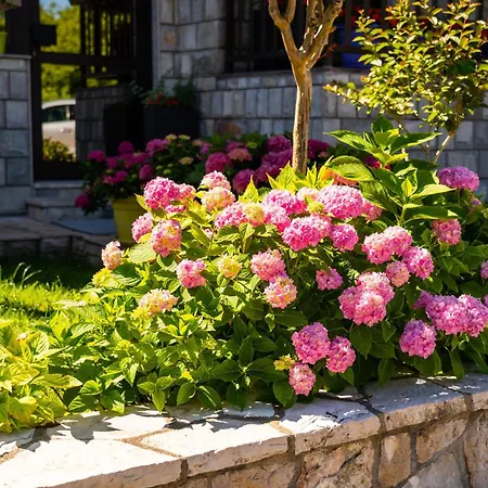 Lucija Široki Brijeg